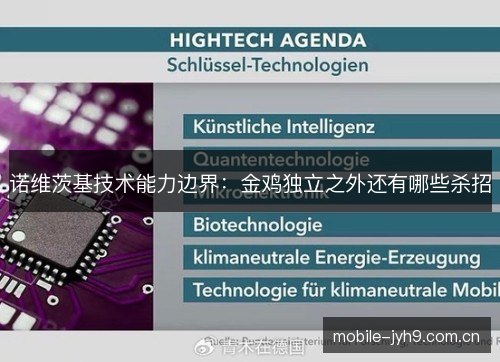 诺维茨基技术能力边界:金鸡独立之外还有哪些杀招 诺维茨基技术能力边界:金鸡独立之外还有哪些杀招