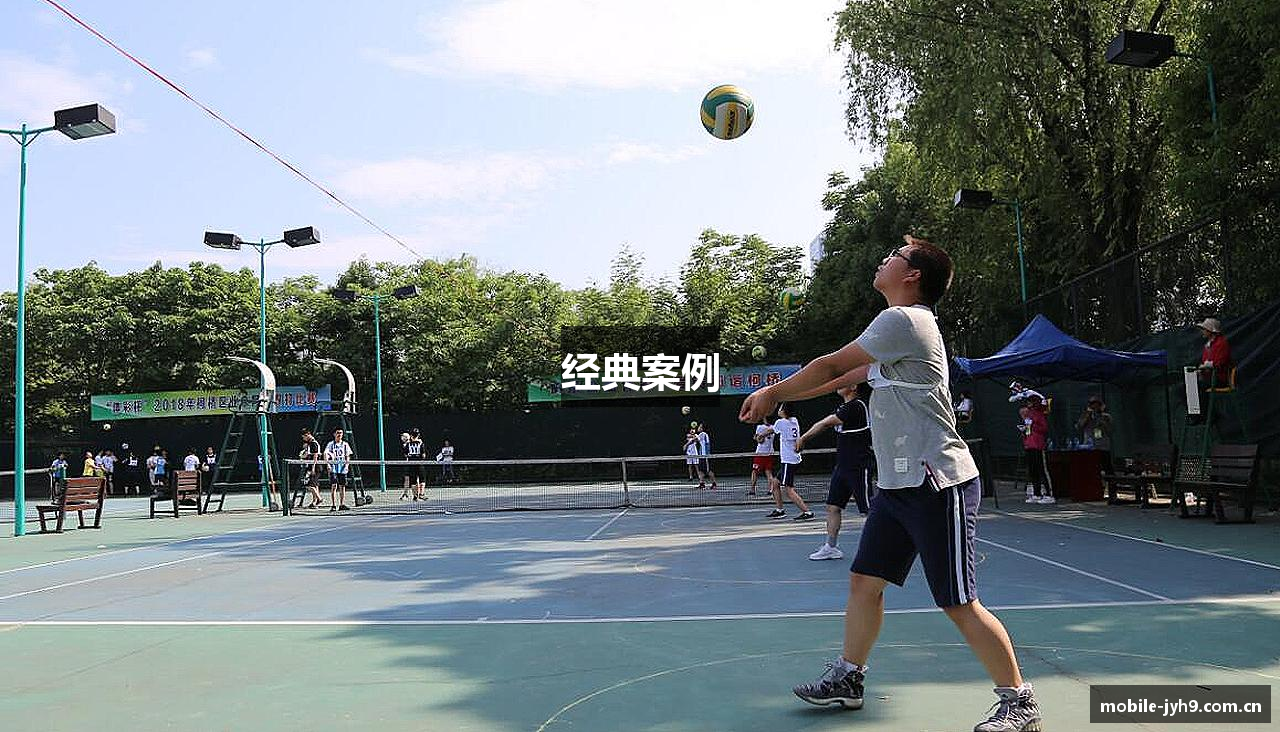经典案例